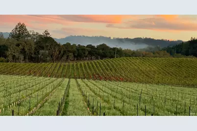 8320 Franz Valley Road, Calistoga, CA 94515 - Photo 76