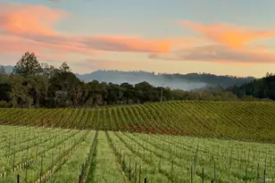 8320 Franz Valley Rd, Calistoga, CA 94515 - Photo 76