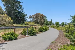 1805 Alvarado St, Petaluma, CA 94952 - Photo 64