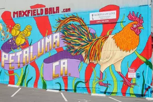 1805 Alvarado St, Petaluma, CA 94952 - Photo 78