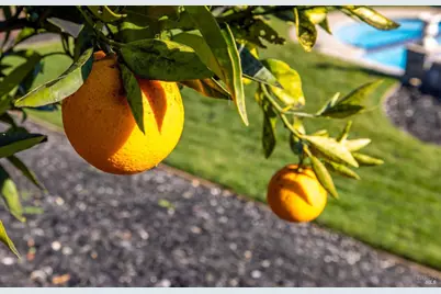 685 Elderberry Loop, Vacaville, CA 95688 - Photo 68