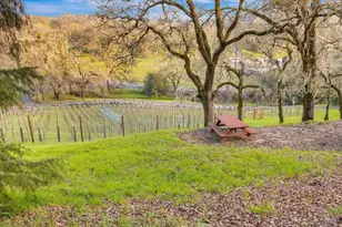 10045 Loch Haven Dr, Santa Rosa, CA 95404 - Photo 34