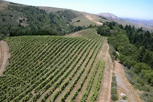 200 Rd To Ranches, Nicasio, CA 94946 - Photo 36