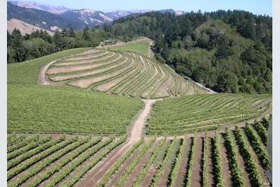 200 Road To Ranches, Nicasio, CA 94946 - Photo 24