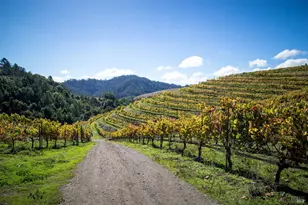 200 Rd To Ranches, Nicasio, CA 94946 - Photo 26