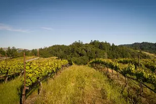 210 Rd To Ranches, Nicasio, CA 94946 - Photo 18