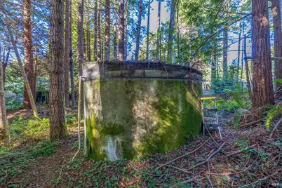 44720 Jack Peters Creek Road, Mendocino, CA 95460 - Photo 8