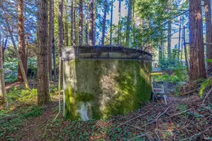 44720 Jack Peters Creek Rd, Mendocino, CA 95460 - Photo 8