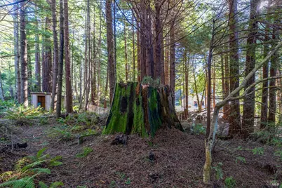 44720 Jack Peters Creek Road, Mendocino, CA 95460 - Photo 6