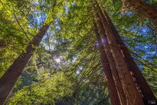 44720 Jack Peters Creek Rd, Mendocino, CA 95460 - Photo 12