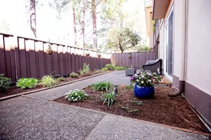 81 Forest Ln, San Rafael, CA 94903 - Photo 10