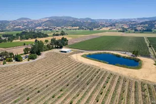 5744 Hwy 128, Geyserville, CA 95441 - Photo 8