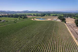 5744 Hwy 128, Geyserville, CA 95441 - Photo 6