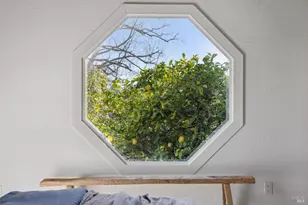 163 Tunstead Ave, San Anselmo, CA 94960 - Photo 26