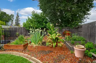 3 Miranda Ct, Novato, CA 94947 - Photo 6
