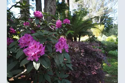 626 Gold Ridge Road, Sebastopol, CA 95472 - Photo 2