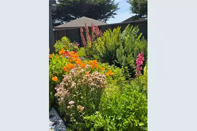 36939 Green Cove Drive, The Sea Ranch, CA 95497 - Photo 24