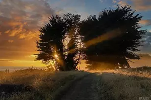 36939 Green Cove Dr, The Sea Ranch, CA 95497 - Photo 76