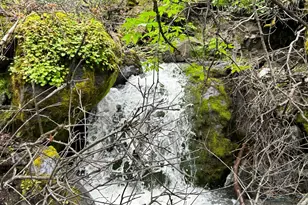 1 Island Mountain Rd, Laytonville, CA 95454 - Photo 18