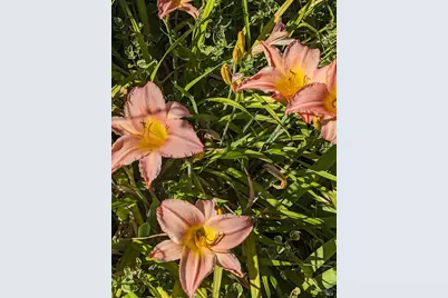 [Address not provided], Rohnert Park, CA 94928 - Photo 28