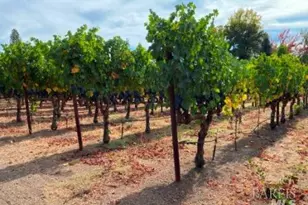 1180 Monticello Rd, Napa, CA 94558 - Photo 68