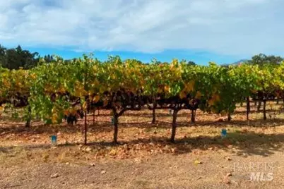 1180 Monticello Road, Napa, CA 94558 - Photo 62