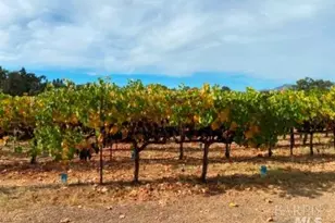 1180 Monticello Rd, Napa, CA 94558 - Photo 62