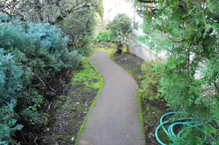 1309 D Street Extension St, Petaluma, CA 94952 - Photo 6