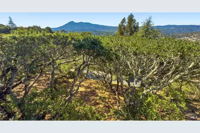 119 Oakmont Avenue, San Rafael, CA 94901 - Photo 22