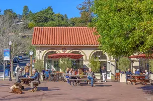 21 Eucalyptus Knoll St, Mill Valley, CA 94941 - Photo 54