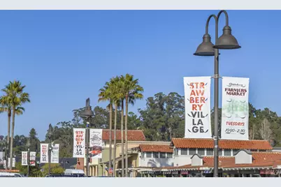 21 Eucalyptus Knoll Street, Mill Valley, CA 94941 - Photo 48