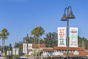 21 Eucalyptus Knoll St, Mill Valley, CA 94941 - Photo 48