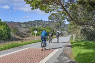 21 Eucalyptus Knoll St, Mill Valley, CA 94941 - Photo 46