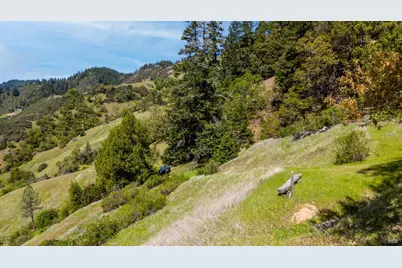 15800 Ridgeview Road, Willits, CA 95490 - Photo 10