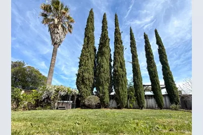 1880 Clayton Way, Concord, CA 94519 - Photo 40