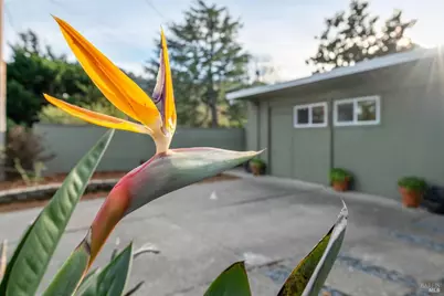 892 Greenberry Lane, San Rafael, CA 94903 - Photo 34