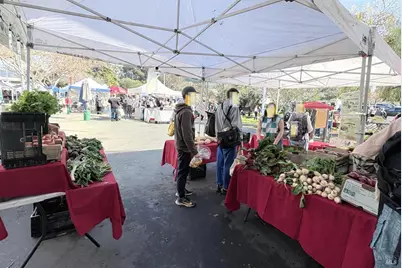 5242 Miles Avenue #Apt C, Oakland, CA 94618 - Photo 24