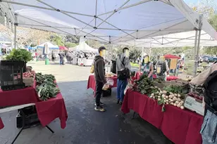 5242 Miles Ave, Oakland, CA 94618 - Photo 24