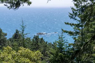 46900 Gypsy Flat Rd, Gualala, CA 95445 - Photo 48