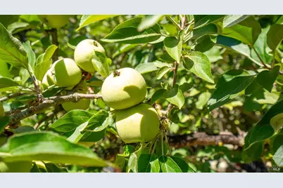 1550 Laguna Road, Santa Rosa, CA 95401 - Photo 16