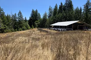 13333 Low Gap Rd, Ukiah, CA 95482 - Photo 24