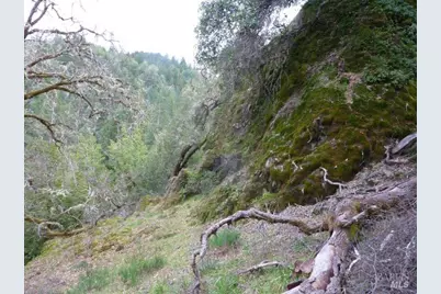 4225 Reeves Canyon Road, Redwood Valley, CA 95470 - Photo 8