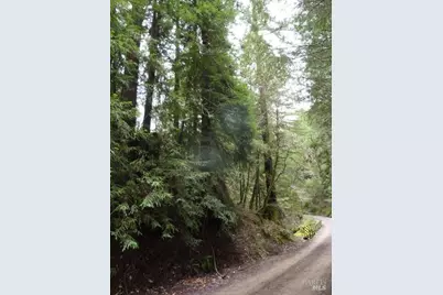 4225 Reeves Canyon Road, Redwood Valley, CA 95470 - Photo 12