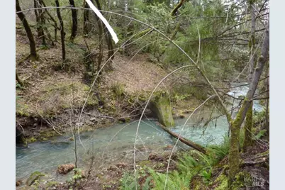 4225 Reeves Canyon Road, Redwood Valley, CA 95470 - Photo 16