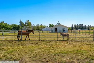 1450 Crane Canyon Rd, Santa Rosa, CA 95404 - Photo 82