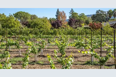 3033 Myrtledale Road, Calistoga, CA 94515 - Photo 66