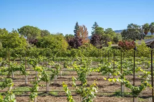 3033 Myrtledale Rd, Calistoga, CA 94515 - Photo 66