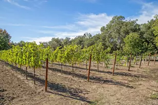 3033 Myrtledale Rd, Calistoga, CA 94515 - Photo 68