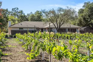 3033 Myrtledale Rd, Calistoga, CA 94515 - Photo 70