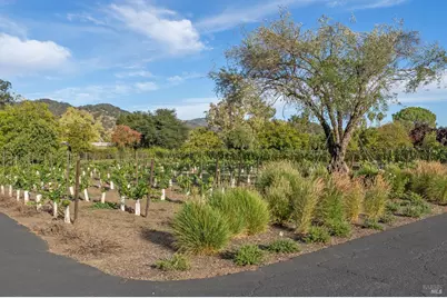3033 Myrtledale Road, Calistoga, CA 94515 - Photo 64